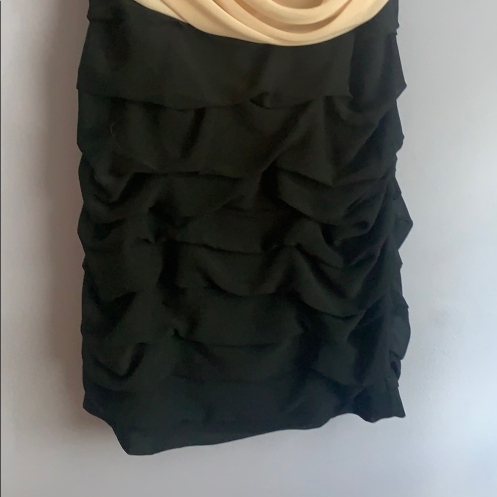 Express Dress - Picture 3 of 4
